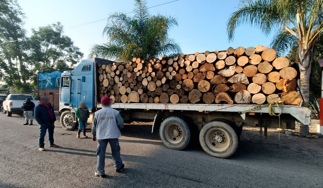 Profepa asegura decenas de toneladas de carbón vegetal y otros recursos forestales
