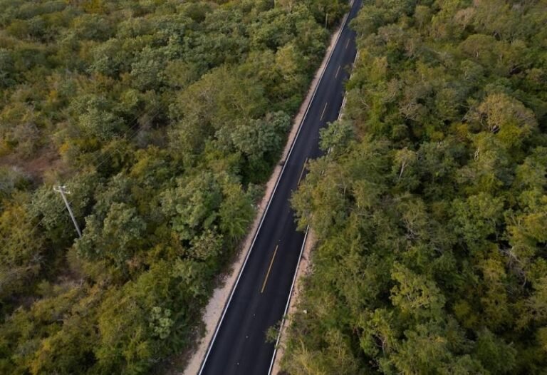 Renacimiento Maya da 13 mdp para rehabilitar carretera en Xocchel