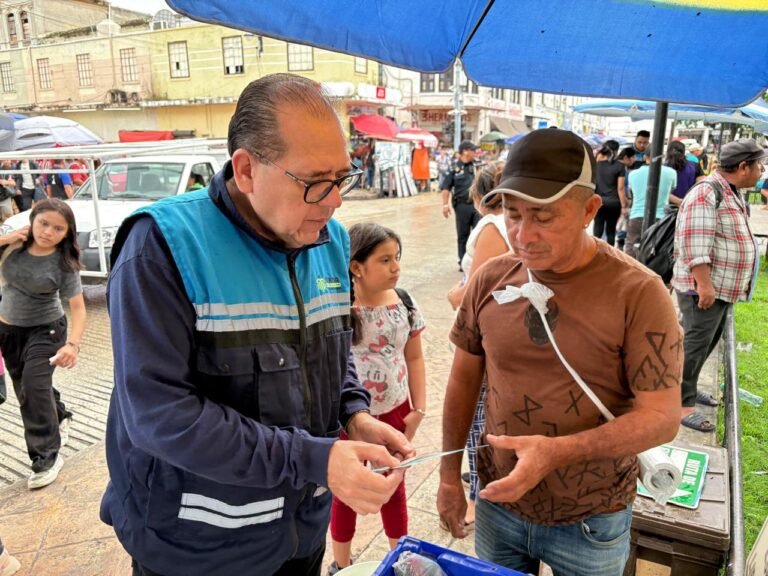 Ayuntamiento de Mérida otorga permisos para venta de artículos navideños
