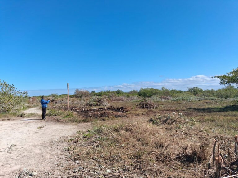 Profepa tumba en Chelem obra clandestina que generó ecocidio en la zona
