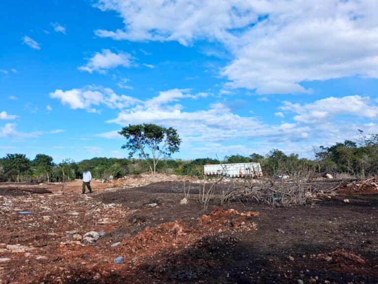 Profepa calusura predio forestal en donde se descargaba excremento de pollo