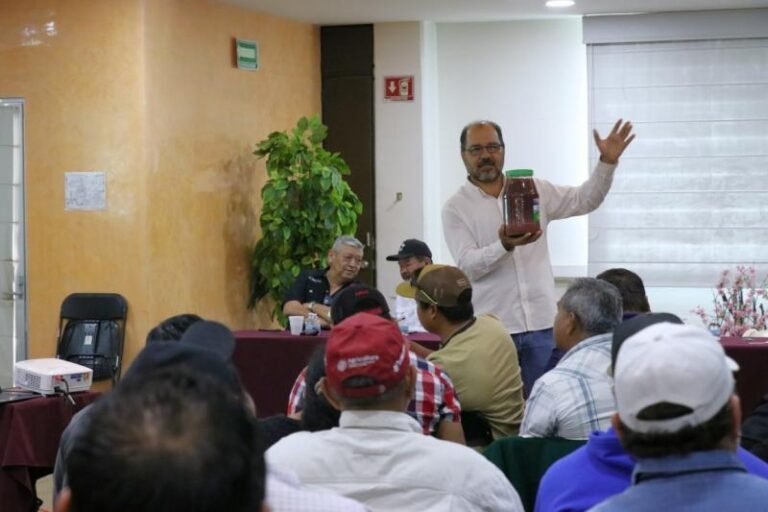 Tizimín, epicentro de pograma piloto a nivel nacional vs gusano barrenador