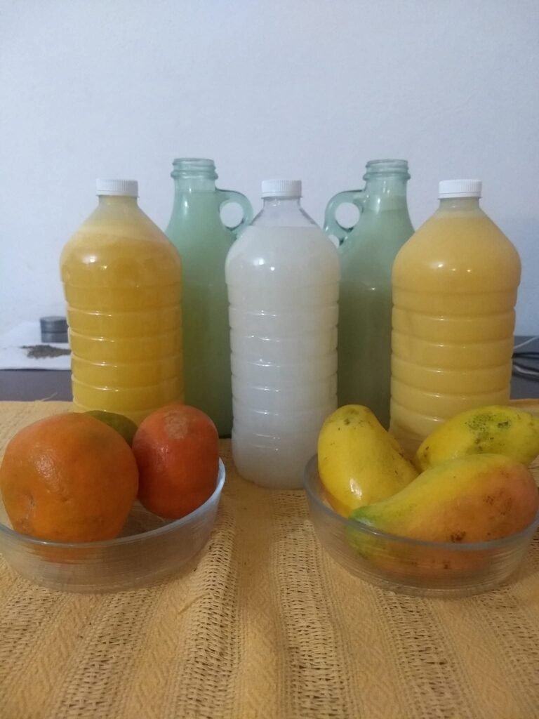 En las tierras del Mayab brindan y celebran en su día a la “bebida de los Dioses”: El Pulque