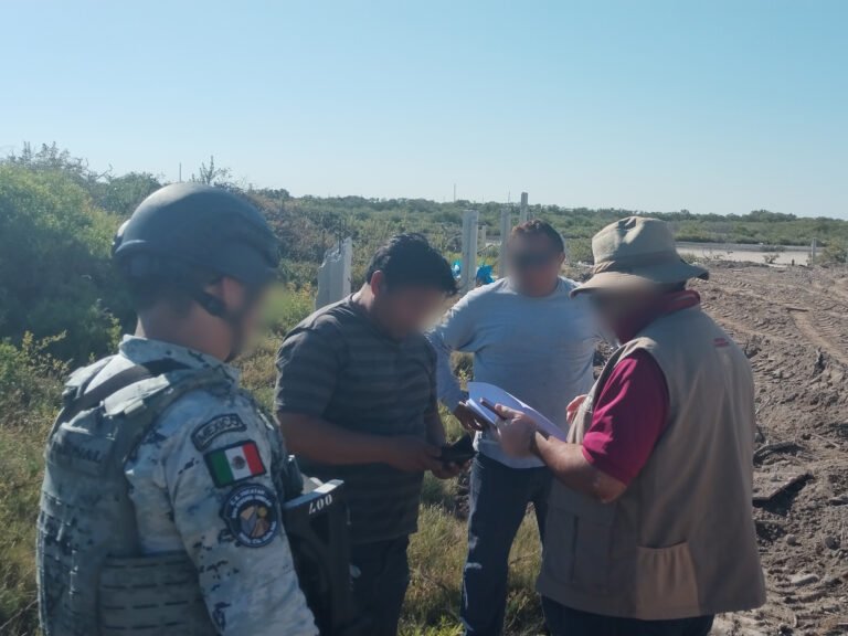 Ejecutan operativo de gran escala en manglares de Chelem