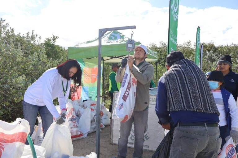 Jornada de limpieza en el manglar de Chuburná para fortalecer los ecosistemas costeros