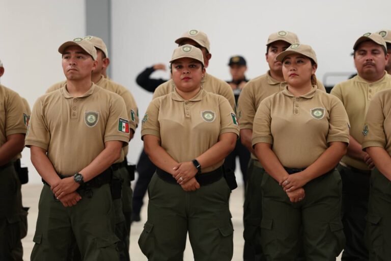 Martes, día de Carnaval sin algunos servicios municipales