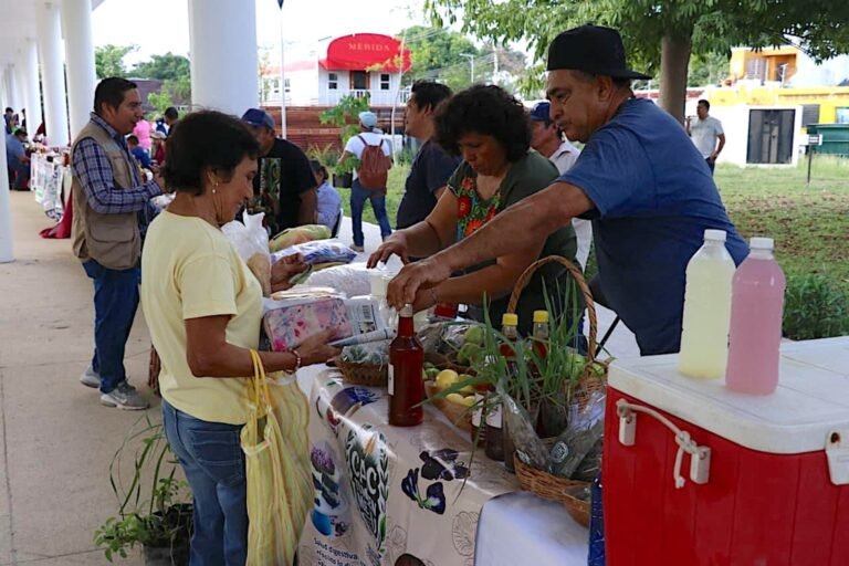 Pulmón verde de Mérida se transforma en vibrante mercado gigante