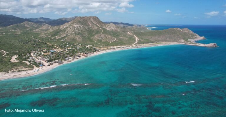 Semarnat frena megaproyecto “Baja Bay Club”, para proteger Cabo Pulmo