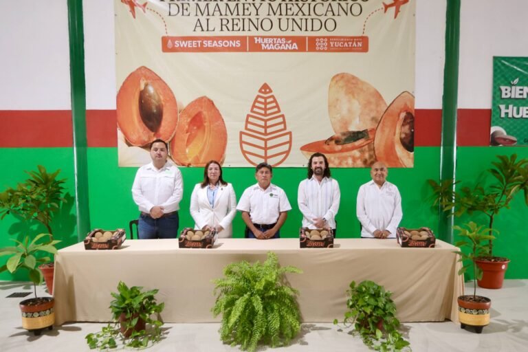 Yucatán concreta primer envío histórico de mamey al Reino Unido