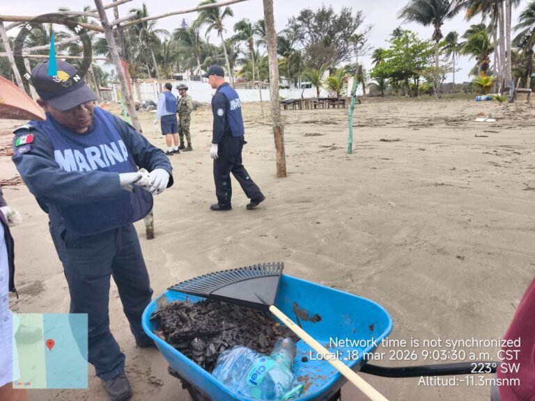 Continúa limpia de playas del Golfo de México