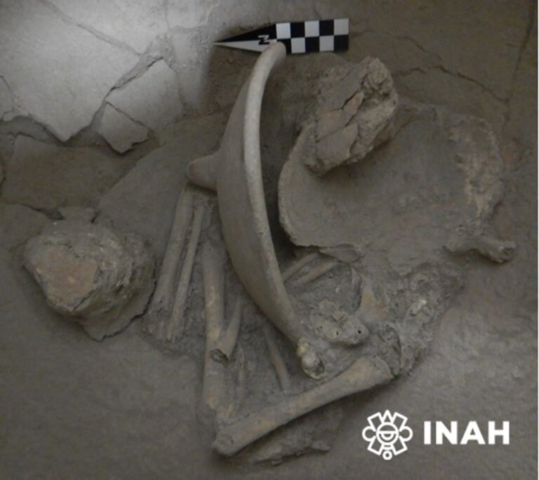 Estudian urnas funerarias de Cansacbé, Campeche