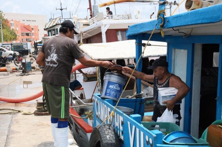 Piden pesca ordenada y responsable del mero