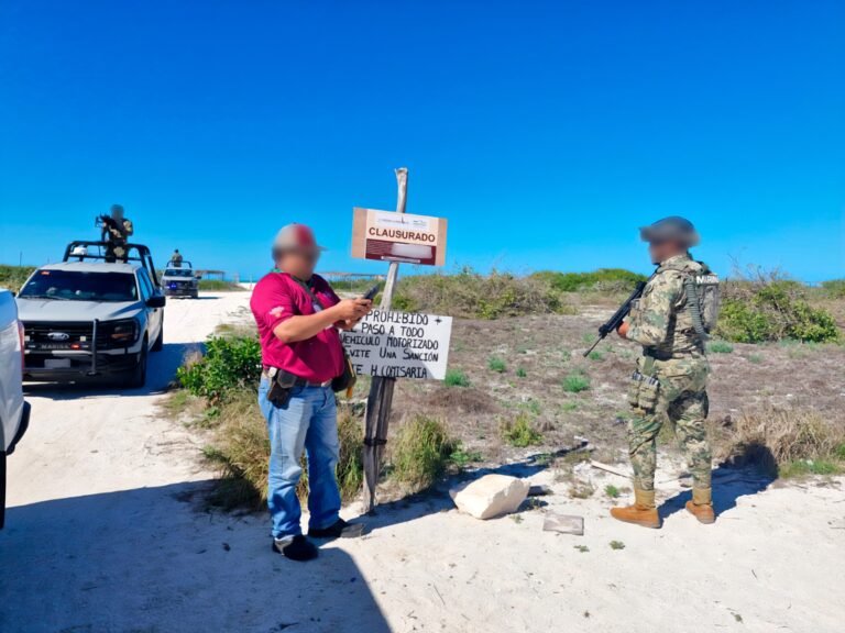 Dan castigo ejemplar a tres personas por desmonte ilegal en Sisal