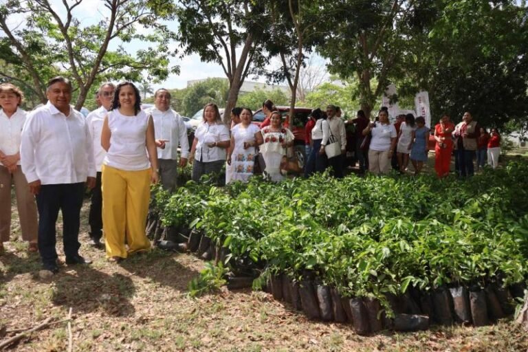 Sembrarán plantas en todos los planteles de Yucatán