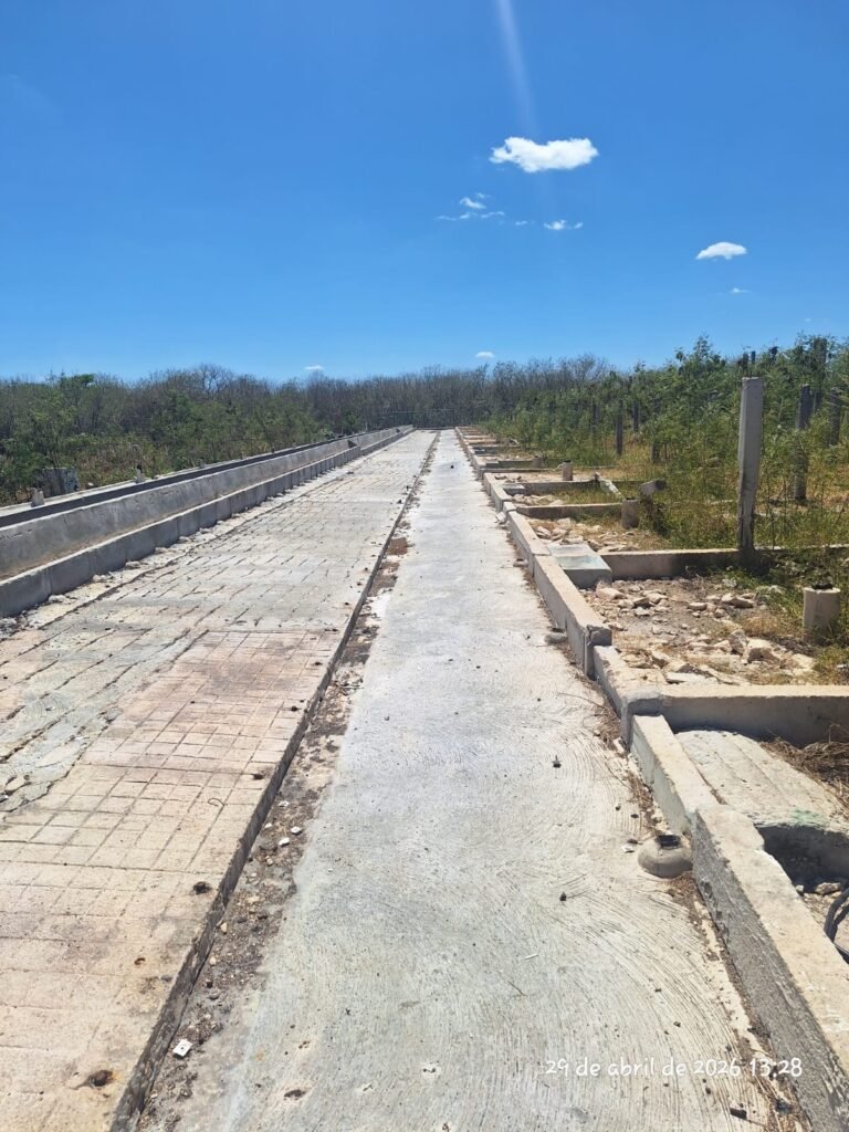 Profepa confirma fin de operación de granja porcícola