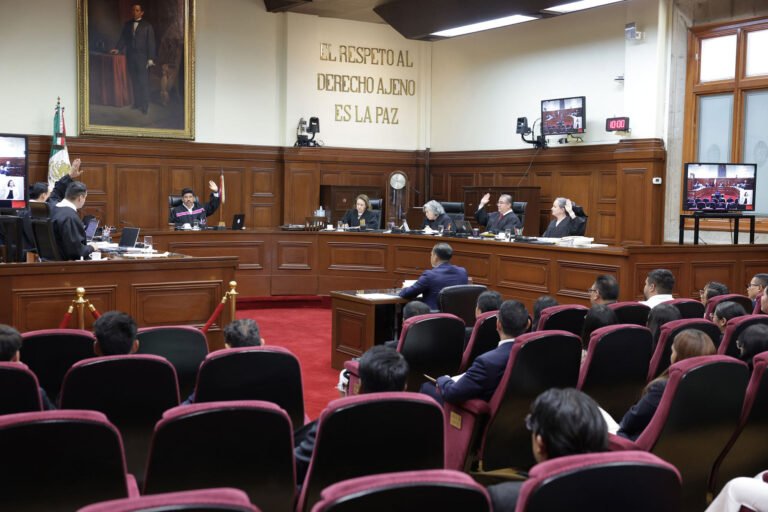 Comunidades Mayas ganan amparo contra granjas porcícolas
