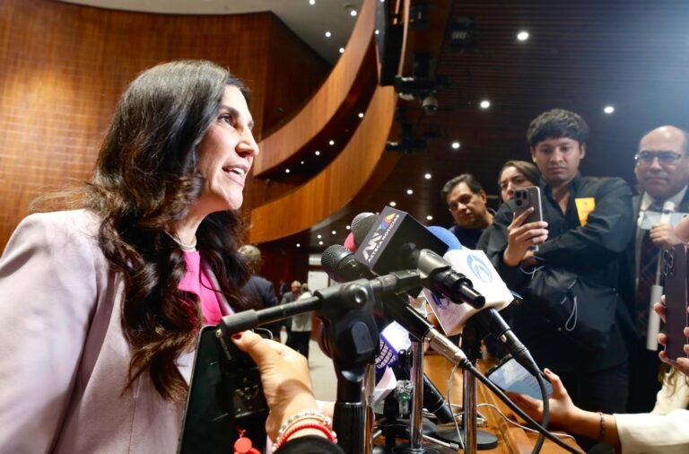 Nulidad a modo es antidemocrática y daña al pueblo de México