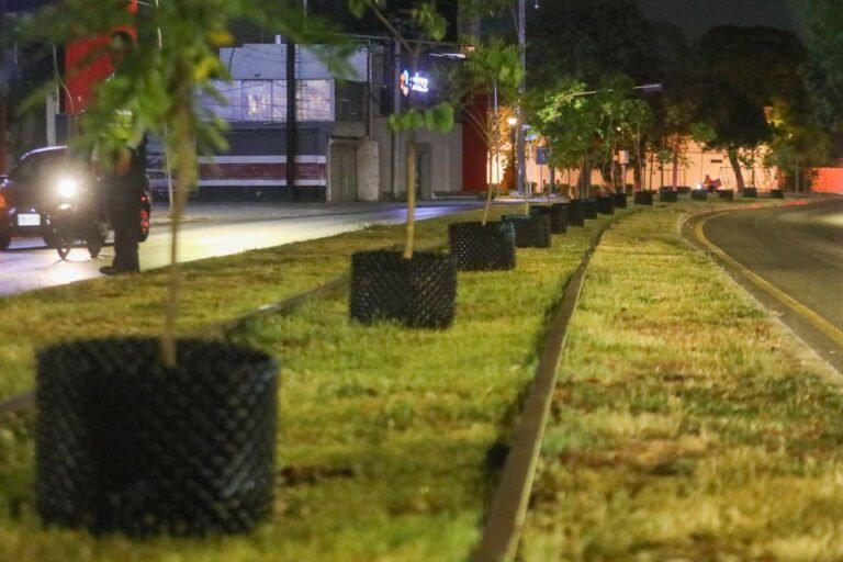 Circuito Colonias estrena árboles generados con tecnología Air Po