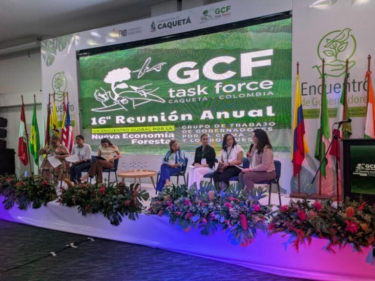 Yucatán impulsa la bioeconomía forestal y el financiamiento climático
