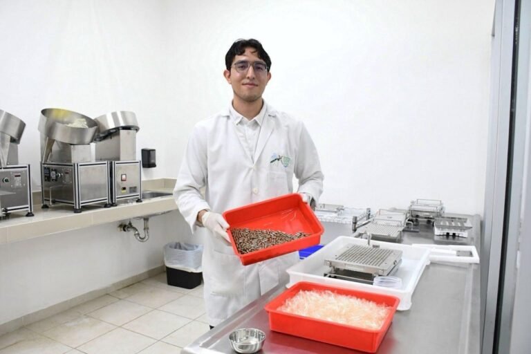 Yucatán tiene avance imporante en combate al dengue: Secretaría de Salud