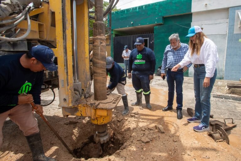 “Soy de presencia permanente en las calles de Mérida y con su gente”: Cecilia Patrón