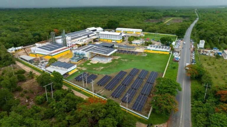 Incorporan energías limpias al campo yucateco
