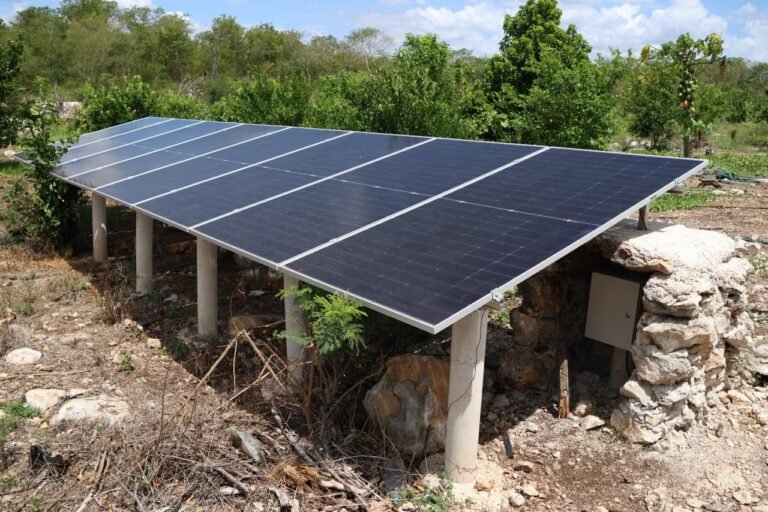 Sistema de riego con paneles solares mejora producción agrícola en Motul