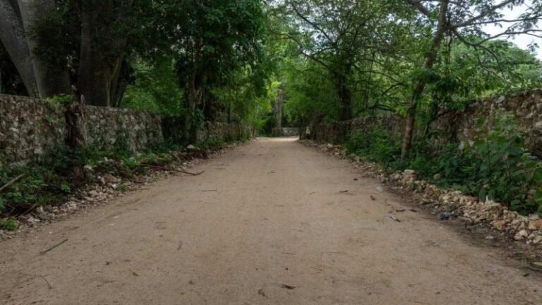 Proyectan 60 millones de pesos para construcción de 750 kilómetros de caminos