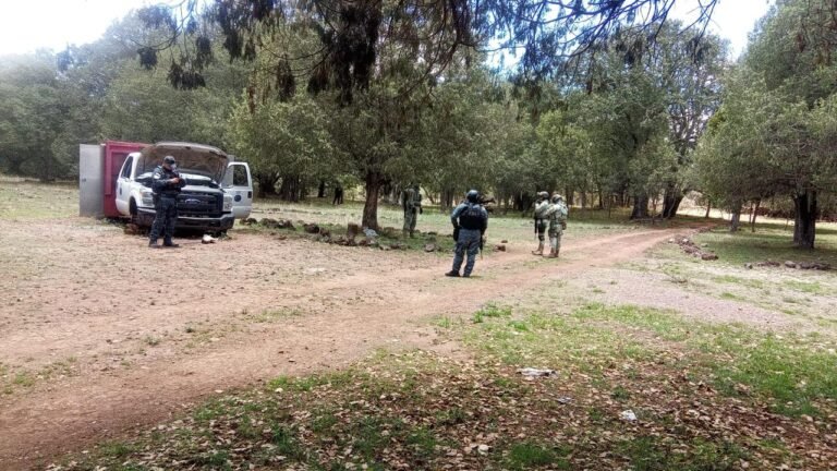 Gobierno de Zacatecas intensifica búsqueda de personas desaparecidas