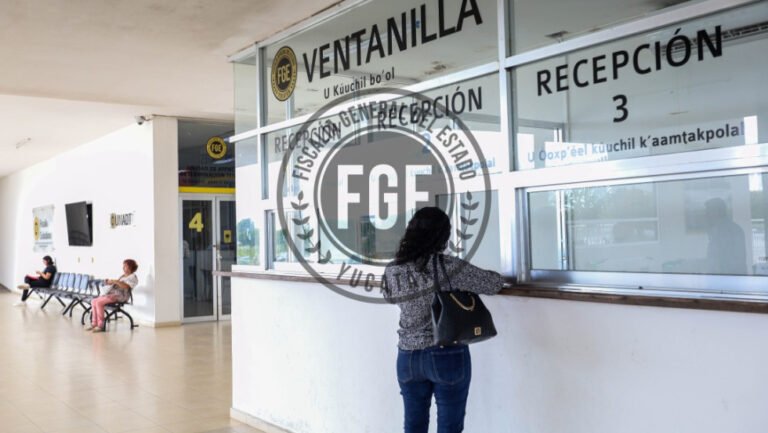 Van por los responsables de tala ilegal en Mérida