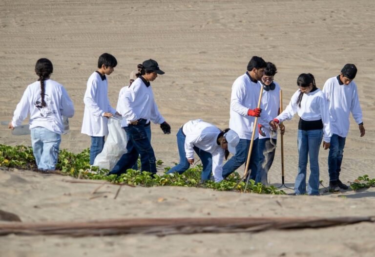 Levantan toneladas de residuos sólidos de las playas yucatecas
