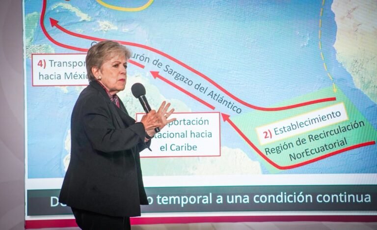Habrá cumbre internacional en Cancún vs sargazo en el Caribe