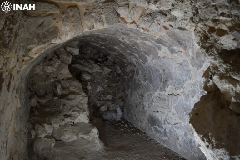 Identifican escritura calendárica como centro de la explosión cultural de las Tierras Bajas mayas