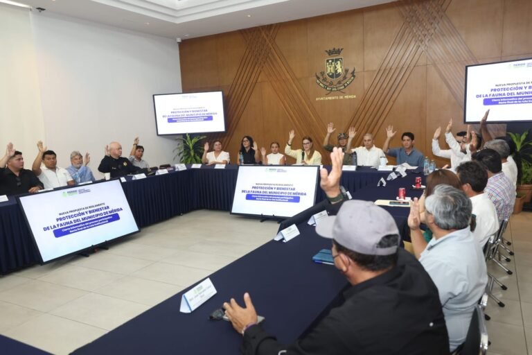 Mérida tendrá nuevo Reglamento para Protección de la Fauna