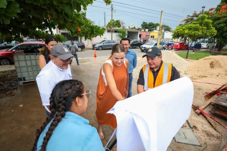 Colaborará OCDE para solucionar aumento de baches en Mérida