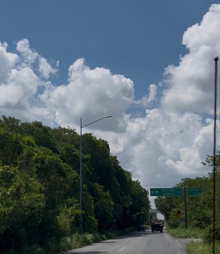 Vuelven a cerrar carretera Progreso-Mérida por Obras del Tren Maya