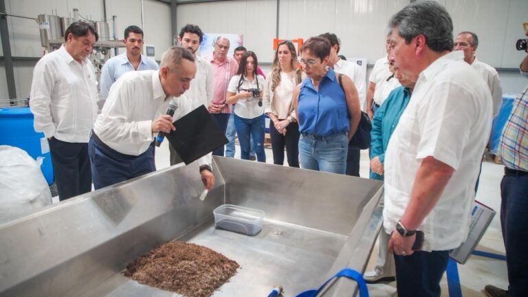 Tiene Yucatán planta capaz de transformar hasta 20 mil toneladas de sargazo en bioinsumos