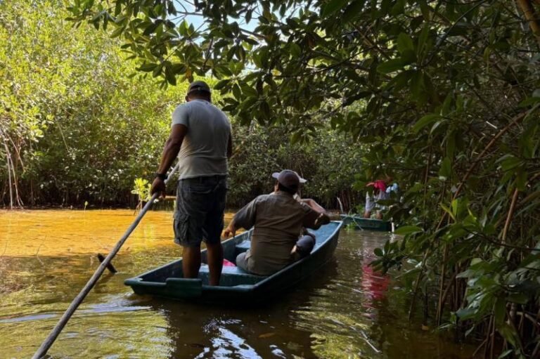 Exigen a Congreso de la Unión Parlamento Abierto sobre Ley Ambiental