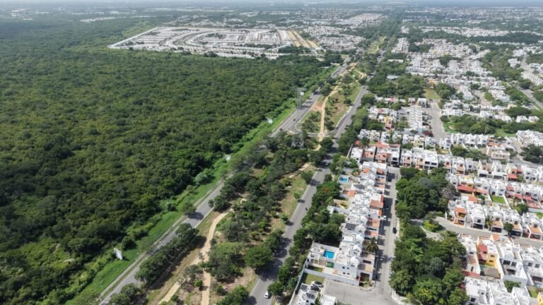 Inaugura Cecilia Patrón primer corredor verde en su tipo en la historia de Mérida