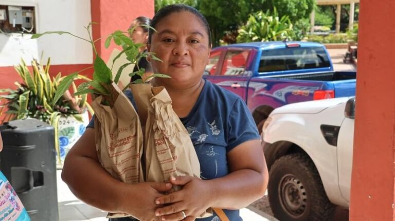 Hacen trueque de basura por adopción de plantas