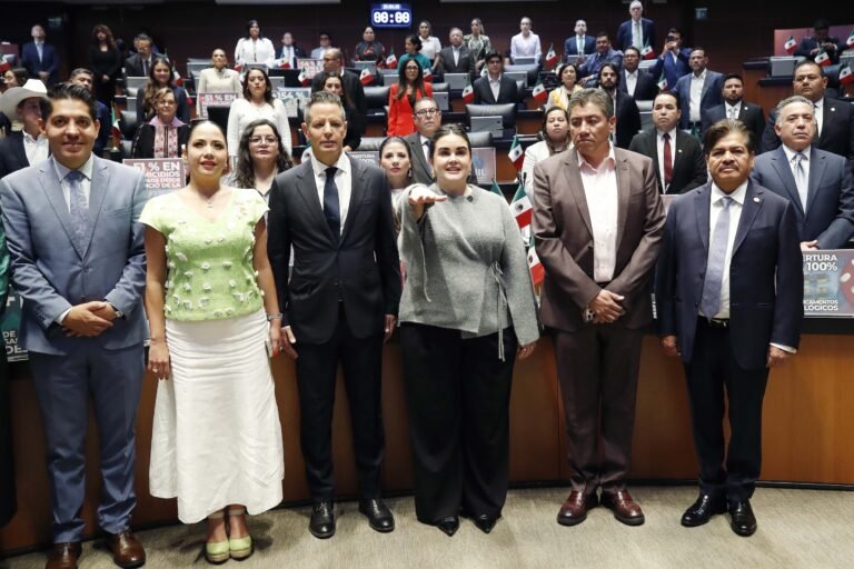 Cristina Planter rinde protesta en el Senado como Subsecretaria para América del Norte
