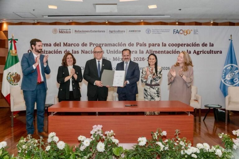 México y la FAO apuestan por sistemas agroalimentarios más eficientes