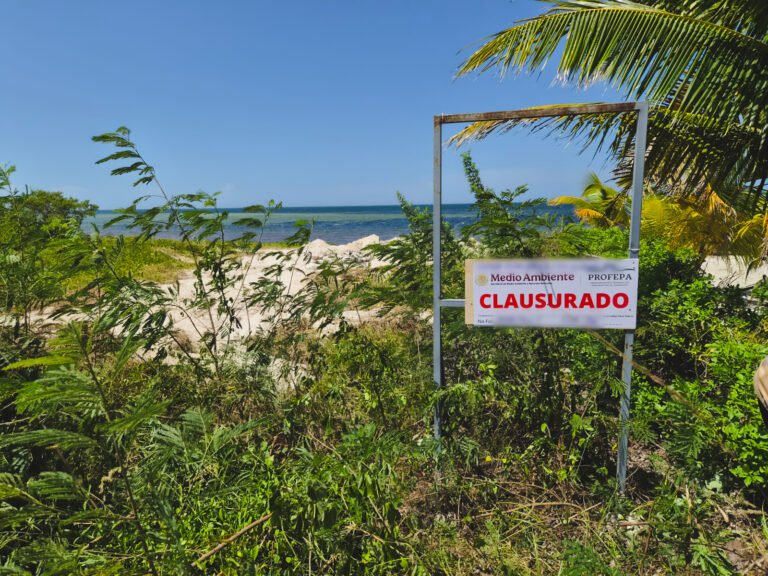 Profepa clusura obra que afectó duna costera en Yobaín, Yucatán