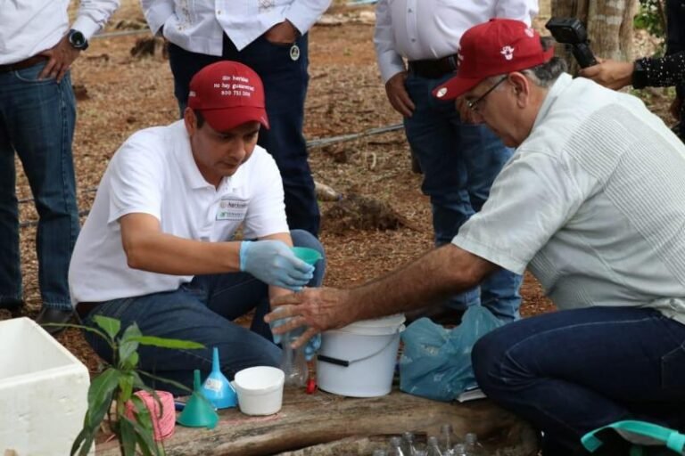 Gobierno de México establece cerco epidemiológico en el sur sureste vs gusano barrenador