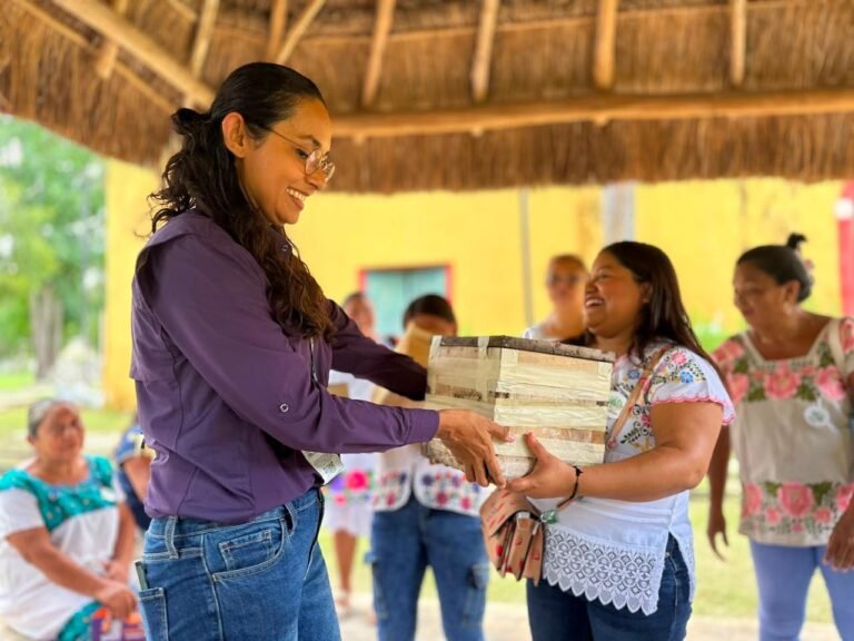“Proyecto Colmena”: Autonomía para mujeres meridanas