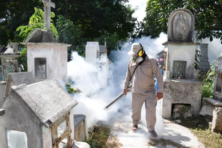 Yucatán programa tres días de fumigación en cuatro panteones