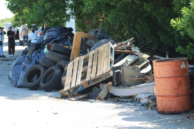 Retiran más de 2.5 toneladas de basura de la ciénega de Progreso